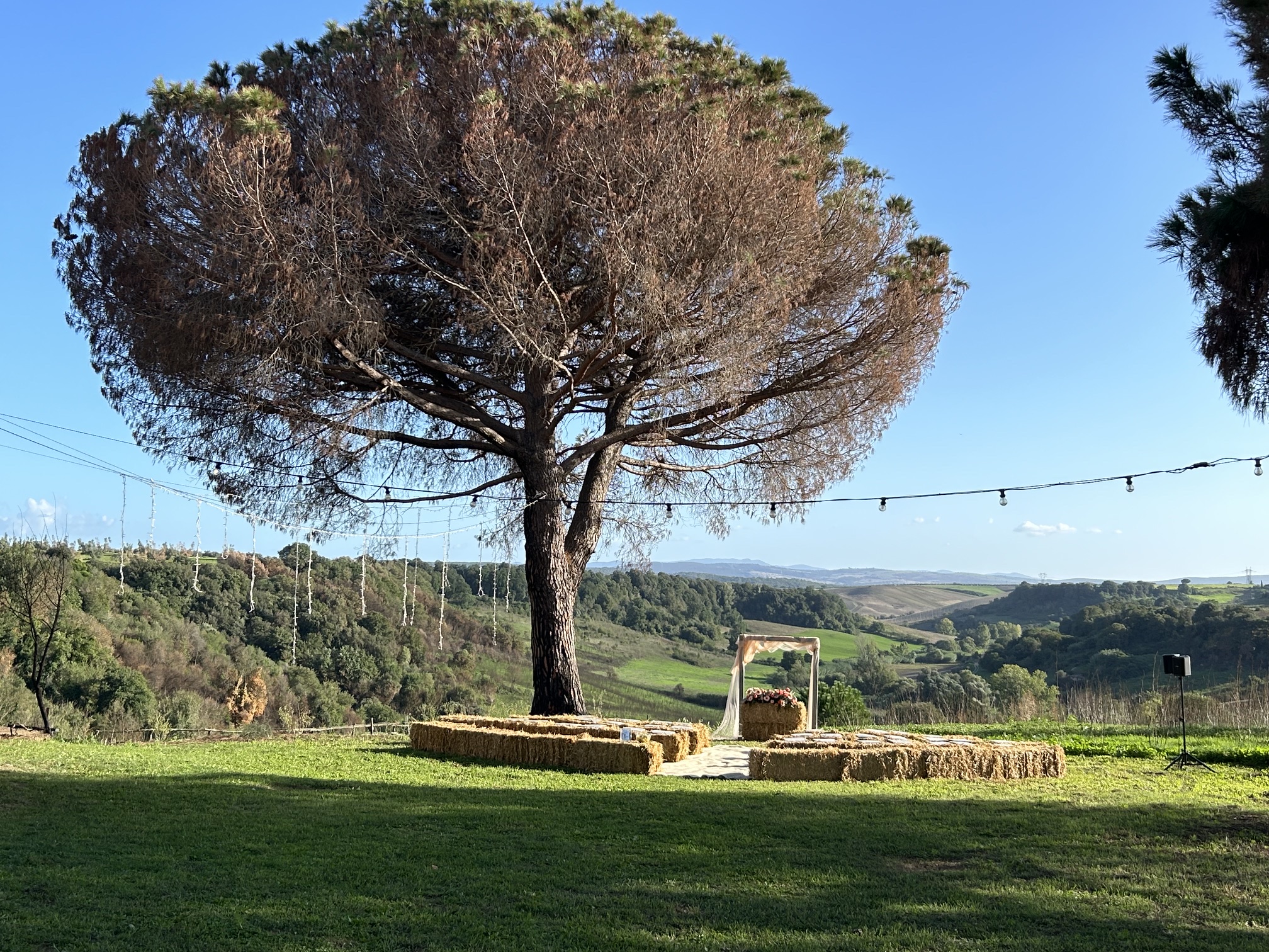 Outdoor ceremony space beneath the umbrella pine, overlooking the valley