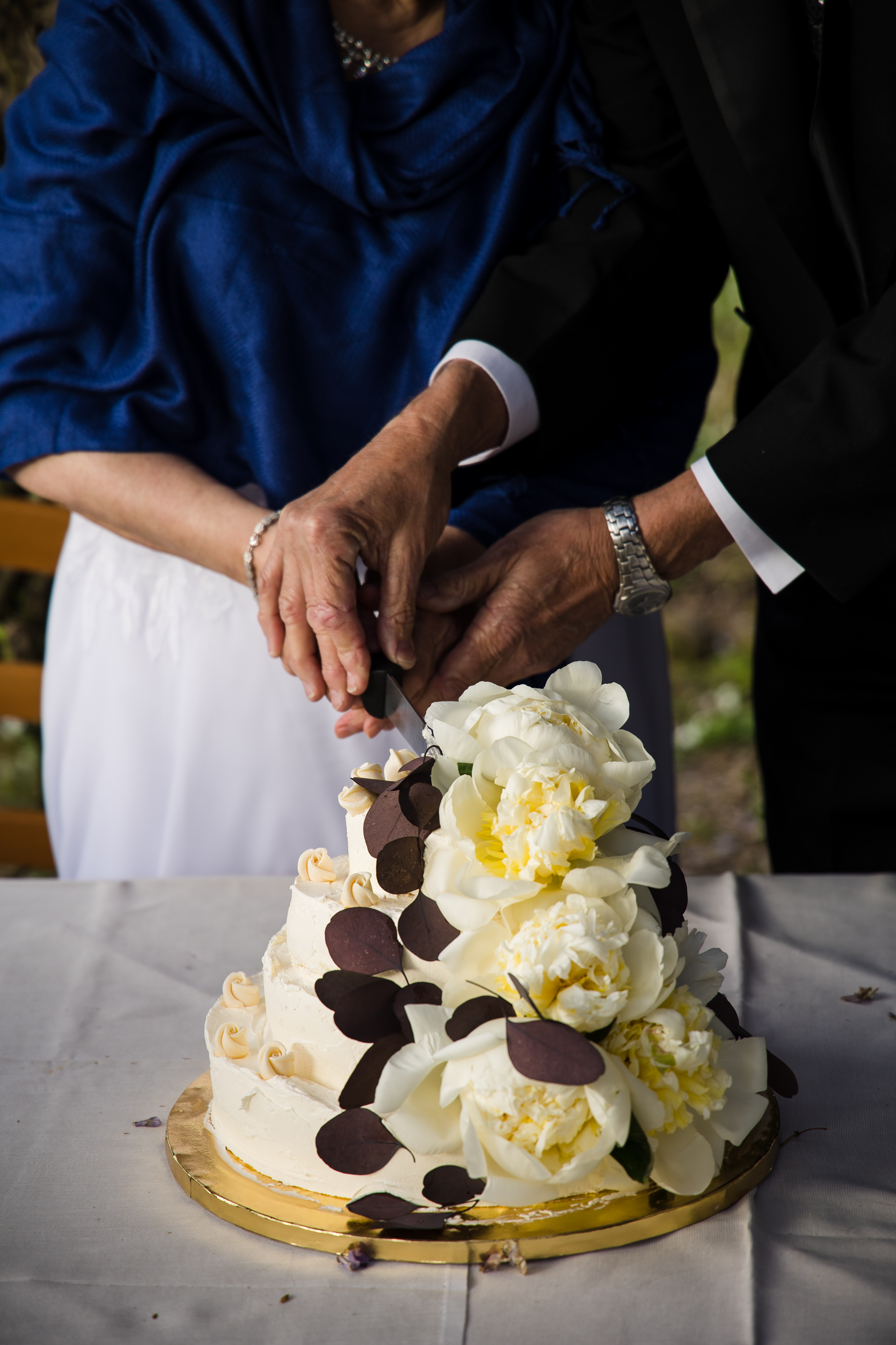 Couple cutting the wedding cake
