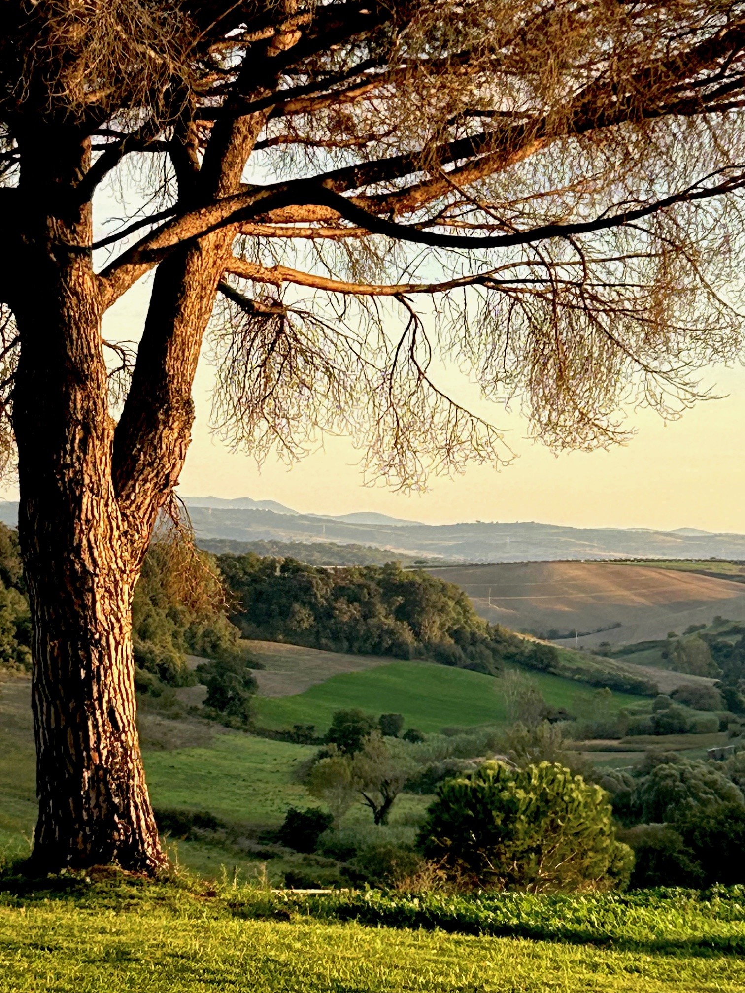 Golden hour view over the Tuscan valley